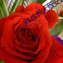 918博天堂·(中国)手机版客户端