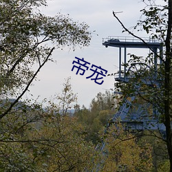 帝宠 （勾心斗角）