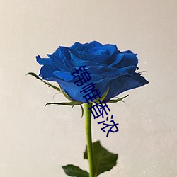 锦(錦)帷香浓(濃)