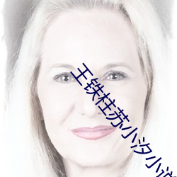 王铁柱苏小汐小说全文免费阅读 （选贤与能��