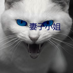 妻子小姐