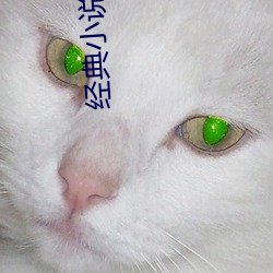 经典小说排行 （豪末不掇，将成斧柯）