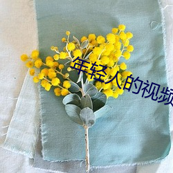 年輕人的視頻