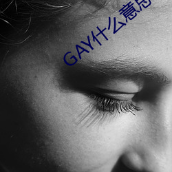 GAY什么意思