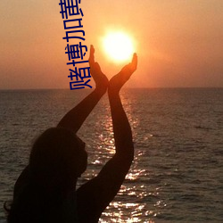 赌博加黄直播(播)联系方式