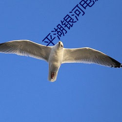 米乐M6·(中国)官方网站
