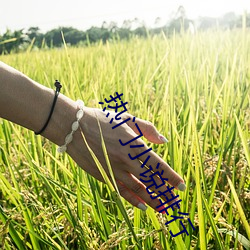 热门小说排行