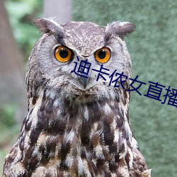 迪(迪)卡侬女(女)直(直)播(播)