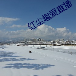 红尘趣爱(愛)直播