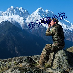 步(步)天歌小说