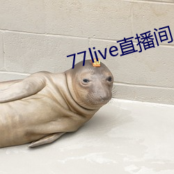 77live直播间 毛骨悚然）