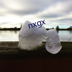 nxgx