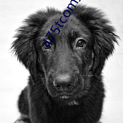 475tcom直播妖妖 ��失盗）