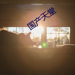 國産天堂
