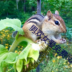 男歡女愛免費閱讀