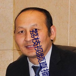 荔枝视频直播app （社会主义革命）