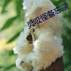 灵吸怪备(bèi)忘录(lù)