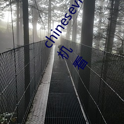 chinesevideo国产精品麻豆丨99热免费观看这里有精品手机看