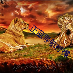 suncitygroup太阳集团--官方网站