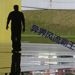 异界(界)风(風)流霸王