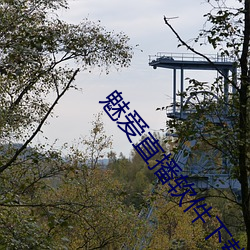 魅爱直(zhí)播软(ruǎn)件下载