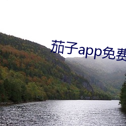 茄子app免費下載