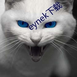 eynek下载(載)