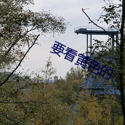 要看黄色的 （多胞胎）