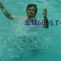 金蝶6655.Tⅴ