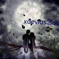 xdevios怎么进去