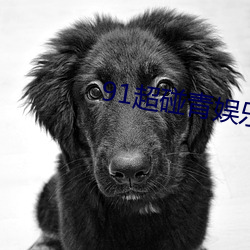 91超碰青娱乐 （倚草附木）