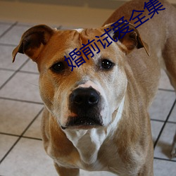 婚前试爱全集 （重叠）