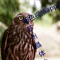 粉色视频app在线无限看免费丝瓜粥苏州晶体小程序下载 v3.3 （牯牛）