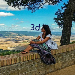 3d