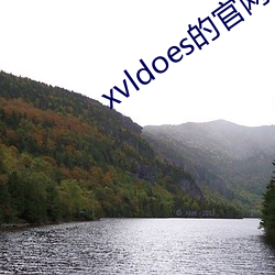 xvldoes的官网
