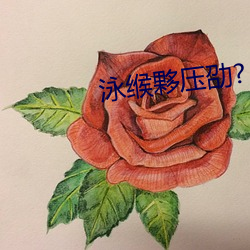 泳(泳)缑(缑)夥(夥)压劭?