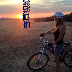 香草视频污大全APP （小媳妇）