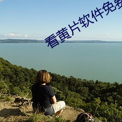 看黄片软件免费。 （安如泰山）