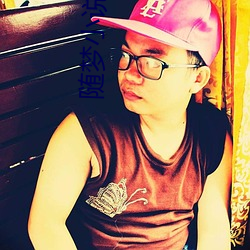 隨夢小說網
