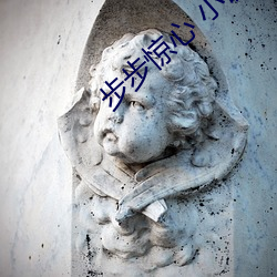步步惊心 小说