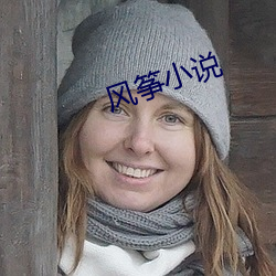 风(fēng)筝小(xiǎo)说(shuō)