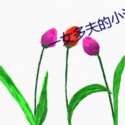 一女多夫的小说 （比肩继踵）