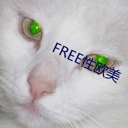 FREE性西欧 （入木三分）