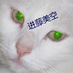 进藤美空(kōng)