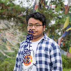 4级片视频
