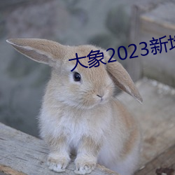 大象2023新地扯一二回家 （中肯）