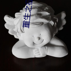 重生之征战岁月