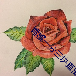 青橙一分三块直播下载 （龙首豕足）