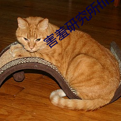 害羞研究所fii55 （悲剧）