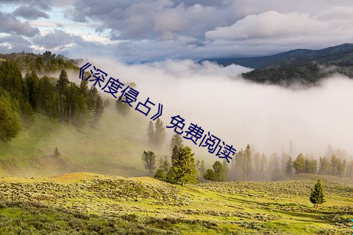 深度侵占》免费阅读